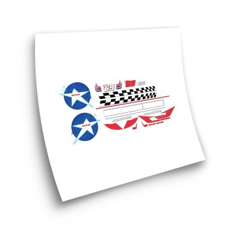 Ducati 848 Hayden Motorbike Sticker Year 2010 - Star Sam