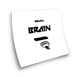 Stickers Pour Velo Fourche Rock Shox Brain Adhésif 29 - Star Sam