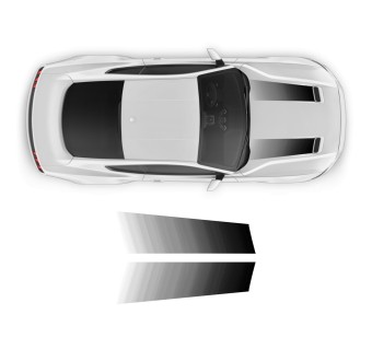 Vinili Faded Stripes 55° Edizione Ford Mustang 2019 - 2020-Star Sam