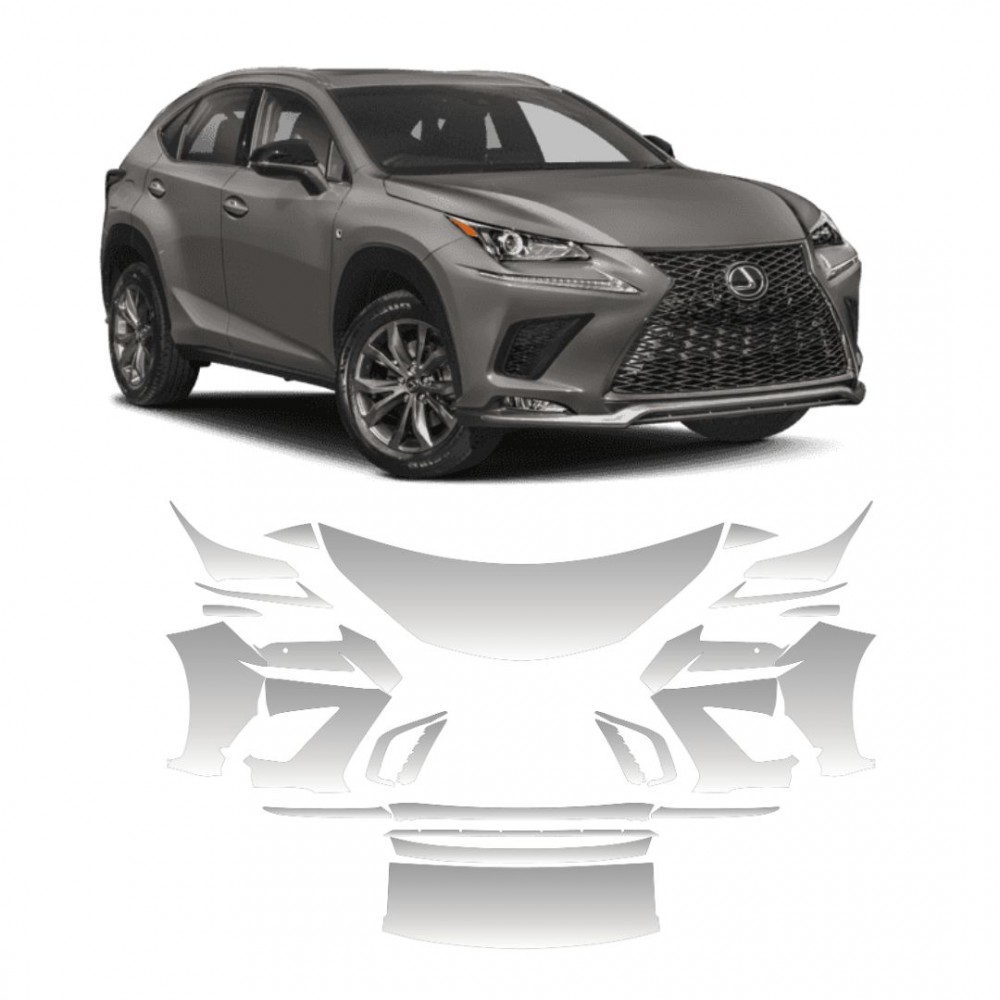 Vinyl PPF Lexus NX 2018...