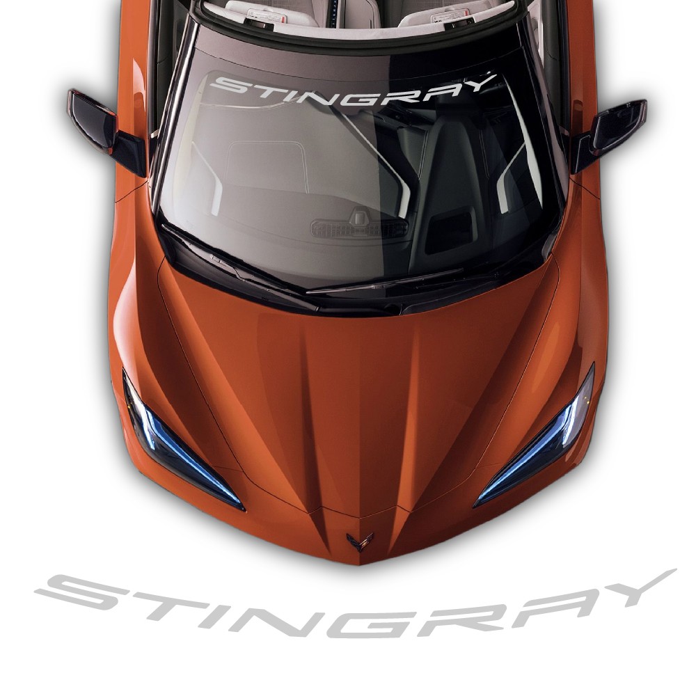 Stingray Shield windshield...