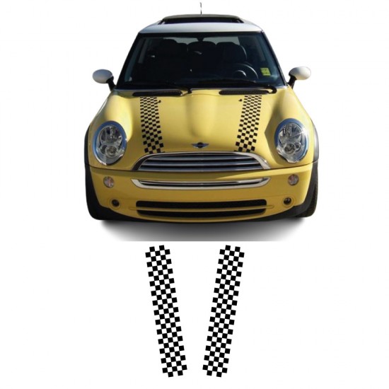 Car decals hood stripes...