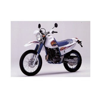 Yamaha TTR 250 Raid Motorbike Stickers White Colour - Star Sam