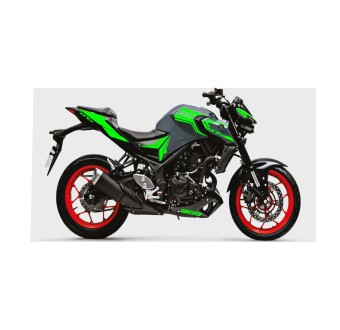 Yamaha MT 03 Motorbike Stickers Year 2021 Green Colour - Star Sam