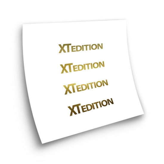 Αυτοκόλλητα ποδηλάτων Logo XT Edition Die Cut - Star Sam